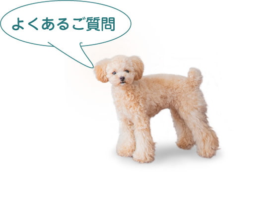 よくあるご質問